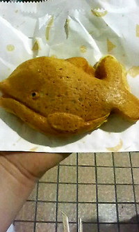 ファイル 11-2.jpg