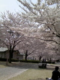 ファイル 2-1.jpg