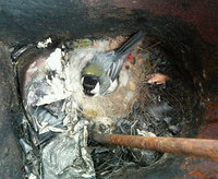 ファイル 5-2.jpg